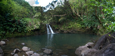 Enlarge photo 176