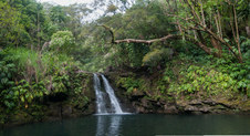 Enlarge photo 177