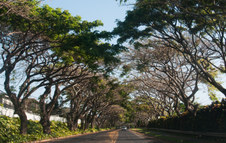 Enlarge photo 96