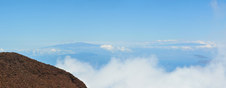 Enlarge photo 142