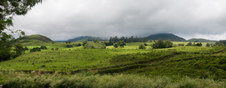 Enlarge photo 129
