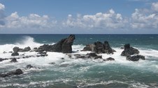 Enlarge photo 48