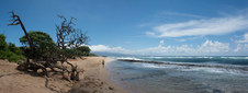 Enlarge photo 162