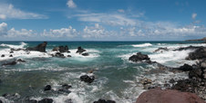 Enlarge photo 181