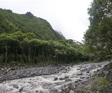 Enlarge photo 193