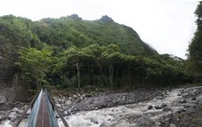 Enlarge photo 194