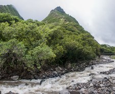 Enlarge photo 192