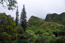 Enlarge photo 166