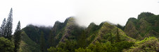 Enlarge photo 168