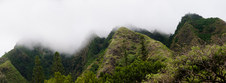 Enlarge photo 169