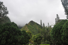 Enlarge photo 165