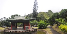 Enlarge photo 203