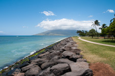 Enlarge photo 86