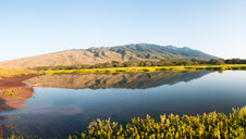 Enlarge photo 122