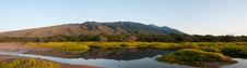 Enlarge photo 119