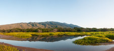 Enlarge photo 120