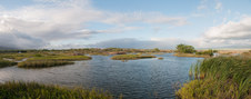 Enlarge photo 174
