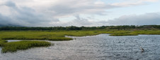 Enlarge photo 175