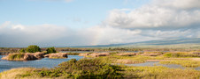 Enlarge photo 173