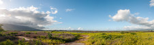 Enlarge photo 75