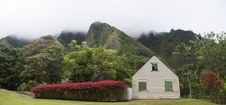 Enlarge photo 195