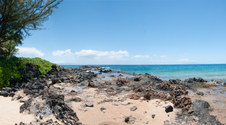 Enlarge photo 87