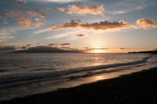 Enlarge photo 184
