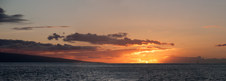 Enlarge photo 186