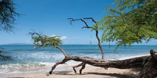 Enlarge photo 56