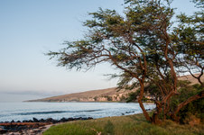 Enlarge photo 115