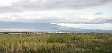 Enlarge photo 28