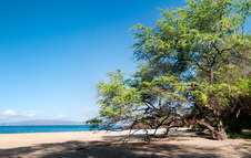 Enlarge photo 65