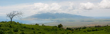 Enlarge photo 124
