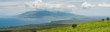 Enlarge photo 127