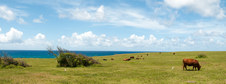 Enlarge photo 180