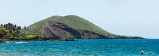 Enlarge photo 91