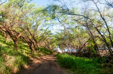 Enlarge photo 64
