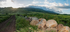 Enlarge photo 81