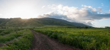 Enlarge photo 82