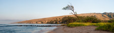 Enlarge photo 116