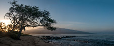 Enlarge photo 112