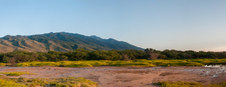 Enlarge photo 118