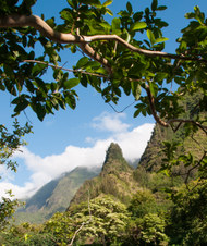 Maui