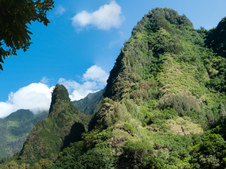 Enlarge photo 105
