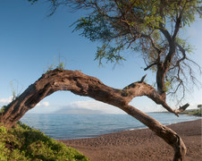 Enlarge photo 4