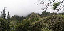 Enlarge photo 199