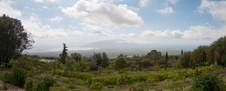 Enlarge photo 151