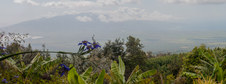 Enlarge photo 150