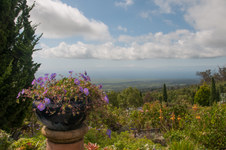 Enlarge photo 153