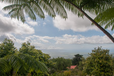 Enlarge photo 154